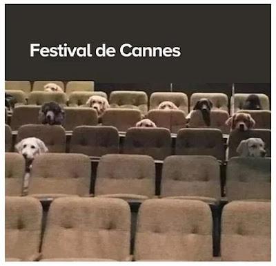 ¡Vive la France! El triunfo de la izquierda en las elecciones. ¡Vive la France! El triunfo de la izquierda en las elecciones.