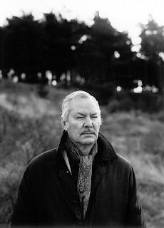 El poema de cada día. Hoy, Una sombra, de