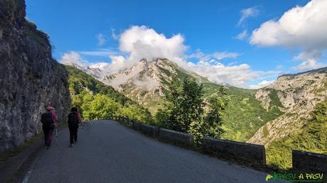 Carretera de Sotres a la Curvona
