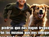 Frases Sabias