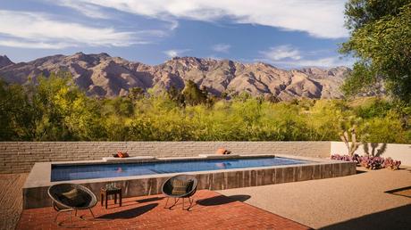 Scott Pask transforma su casa en Arizona en un oasis. 2 Scott Pask transforma su casa en Arizona en un oasis. 2