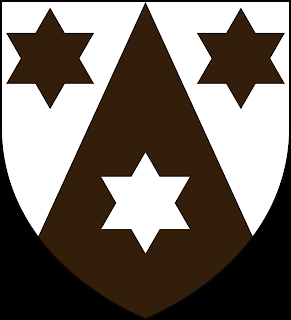 A propósito de la Virgen del Carmen  (micro ensayo)