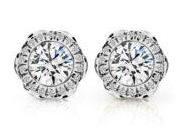 Internacional Tiburones: Celebrando Guardianes Ancestrales Océano.