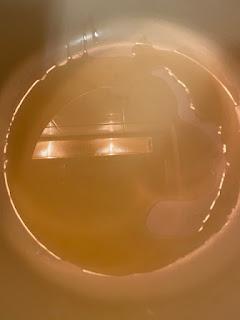 CREMA DE UVAS Y PUERROS