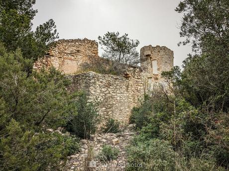 La Torre d’en Grimau La Torre d'en Grimau