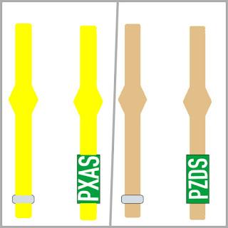 Gaviota patiamarilla adulta y joven con anilla