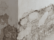 Criterios para elegir mejor empresa humedades capilaridad