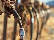 cuando trata sobrevivir falta agua