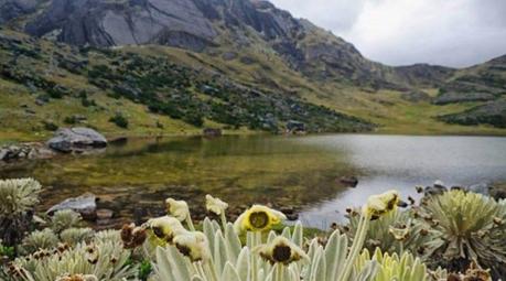 Minería en el Páramo de Santurbán. Páramo de Santurbán.