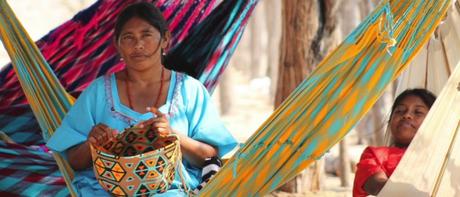demanda del pueblo Wayuú 