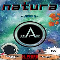 Concierto de Natura y Luna Park en El perro de la parte de atrás del coche