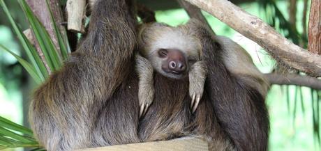 Qué ver en Ciudad de Panamá Qué ver en Ciudad de Panamá