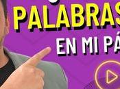 página aparece Google? Arréglalo este Checklist