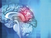 herramientas contribuyen cuidar nuestro cerebro lograr bienestar integral