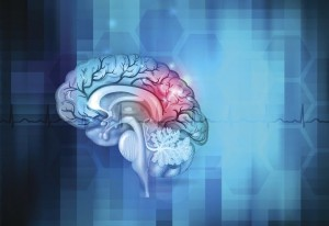 Qué herramientas contribuyen a cuidar nuestro cerebro y lograr el bienestar integral Qué herramientas contribuyen a cuidar nuestro cerebro y lograr el bienestar integral