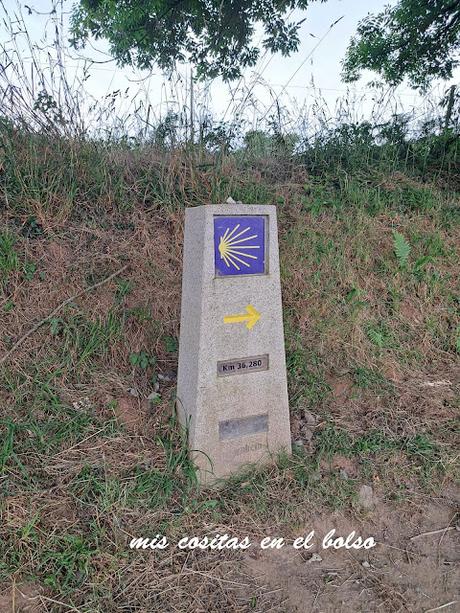 Camino de Santiago