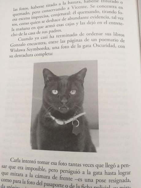 Poeta chileno, de Alejandro Zambra Poeta chileno, de Alejandro Zambra
