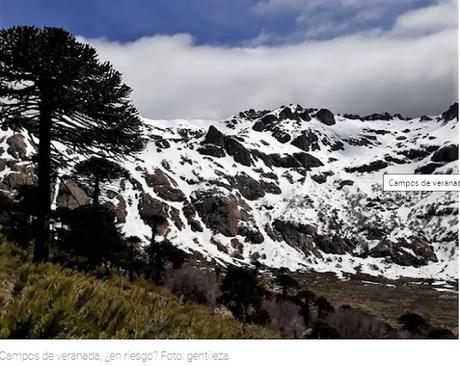 Intentan prohibir el uso del agua del Catán Lil para megaminería Intentan prohibir el uso del agua del Catán Lil para megaminería