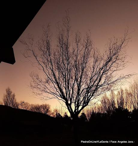 Santo Tomás en vacaciones de invierno