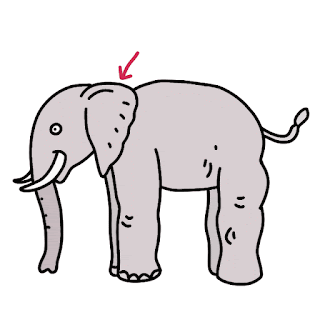 Dibujando para la nueva familia de libros de texto gratuitos de México Dibujando para la nueva familia de libros de texto gratuitos de México