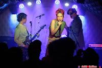 Petricor en El perro de la parte de atrás del coche