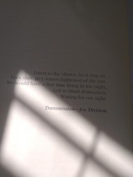 El púgil, de Mike Wilson El púgil, de Mike Wilson