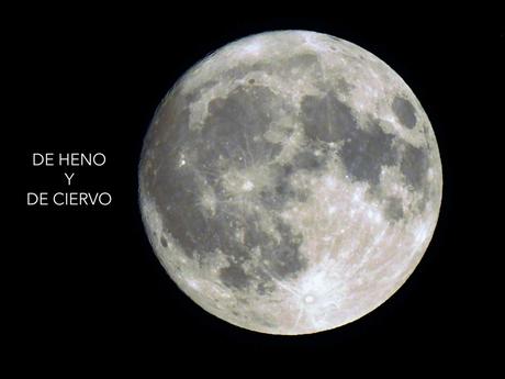 Fenómenos Transitorios Lunares .