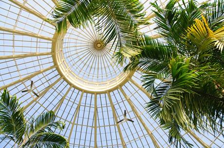 17 atracciones turísticas mejor valoradas en Buffalo, NY