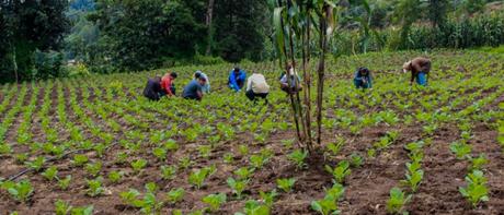 se deje de “vandalizar” la Tierra la tierra