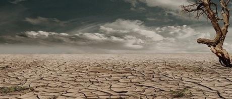 se deje de “vandalizar” la Tierra la tierra