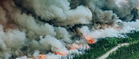 cambio climático incendios