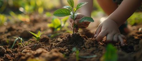 cambio climático incendios