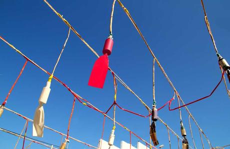 Mascletaes Fiestas Agosto Elche 2024