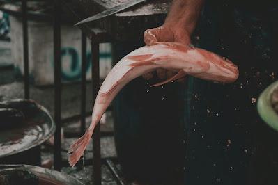 Pescadero preparando pescado Pescadero preparando pescado