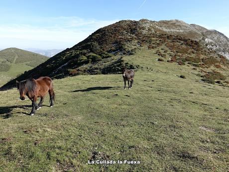 Alto San Lorenzo-Busbarraz-La Cuḷḷada Villaús-La Falguera-El Michu