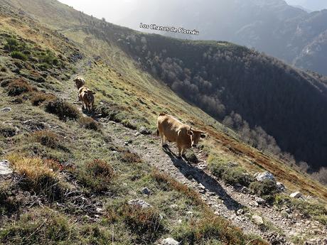 Alto San Lorenzo-Busbarraz-La Cuḷḷada Villaús-La Falguera-El Michu