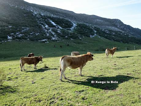 Alto San Lorenzo-Busbarraz-La Cuḷḷada Villaús-La Falguera-El Michu