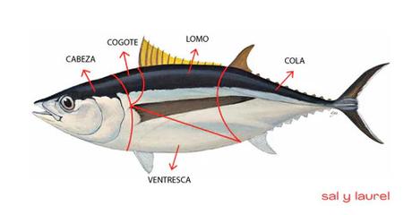 VENTRESCA DE BONITO DEL NORTE A LA PLANCHA