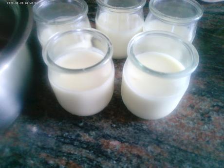 PANNA COTTA CON COMPOTA DE FRESAS