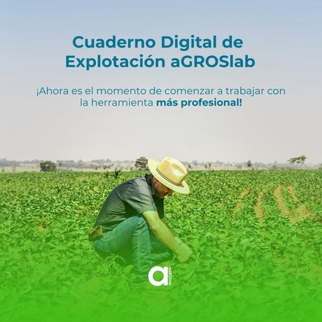 VISUALIZACIÓN AUTOMÁTICA DE RECINTOS AGRÍCOLAS 2