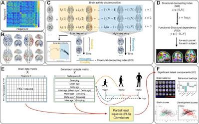 ¿Es posible evaluar el riesgo de psicosis de un individuo? ¿Es posible evaluar el riesgo de psicosis de un individuo?