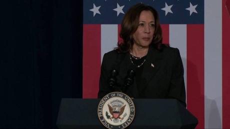 Kamala Harris enfrenta el racismo y el sexismo de la campaña presidencial de Trump-Vance Kamala Harris enfrenta el racismo y el sexismo de la campaña presidencial de Trump-Vance