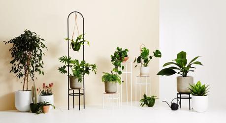 Tener un huerto en casa influye en el desarrollo infantil Tener un huerto en casa influye en el desarrollo infantil