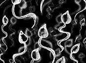 Maldición Poeta: Renacuajos 3er. Estanque (Álbum)