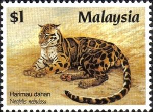 La pantera nebulosa, el depredador de las alturas