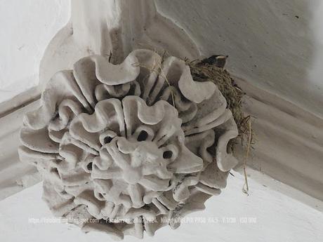 Descubriendo Sant Jeroni de la Murtra