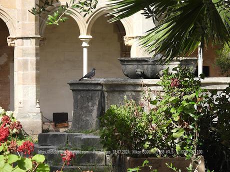 Descubriendo Sant Jeroni de la Murtra