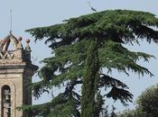 Descubriendo Sant Jeroni Murtra