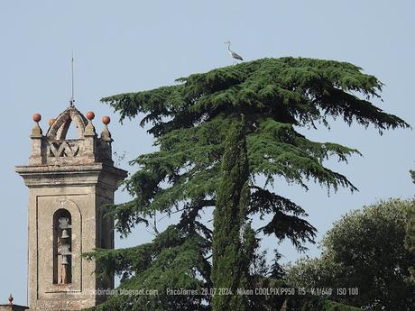 Descubriendo Sant Jeroni de la Murtra