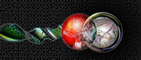 Gripe aviar gripe aviar